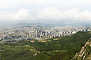 公司簡介